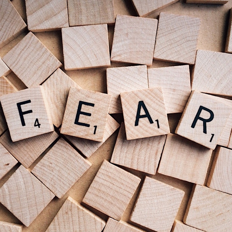 3 Reasons Why Fear Is Good For You Michelle Prince